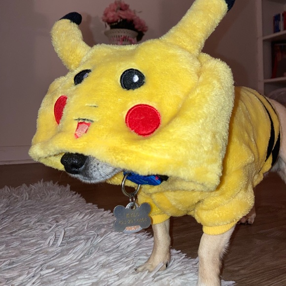 Meet your Posher, Becca - Picture 8 of 8